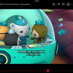 Peso Penguin/gallery | Octonauts Wiki | FANDOM powered by Wikia