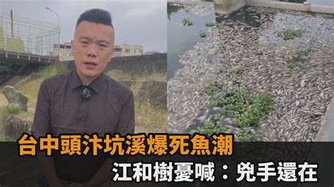 台中頭汴坑溪又見死魚！市府駁工廠偷排稱缺氧 江和樹憂喊：兇手還在－全民話燒 Youtube