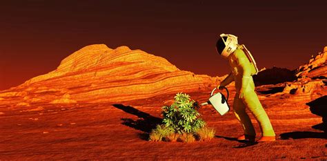 How to grow crops on Mars if we are to live on the red planet