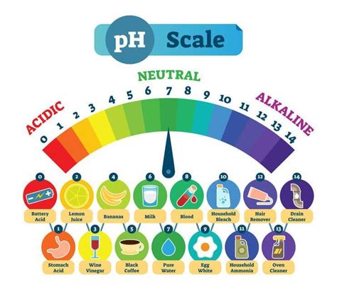 PH De Los Alimentos Influye En Nuestra Calidad De Vida