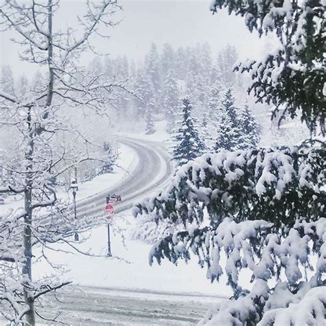 Freddo E Maltempo Al Sud In Sila Arrivata La Prima Neve A Cosenza