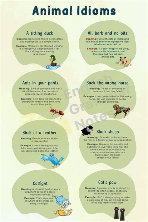 Animal Idioms | List of Animal Idioms With Meaning and Examples ...