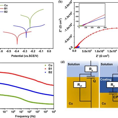 A Potentiodynamic Polarization Curves Of Bare And B1 And B2 Coated