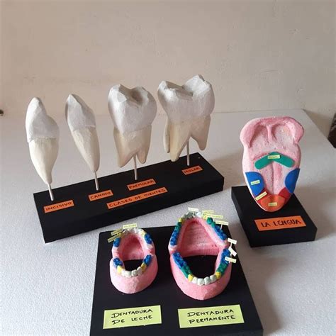 Pin De FORMAS TERMICAS En Maquetas Escolares Durapor Maquetas De