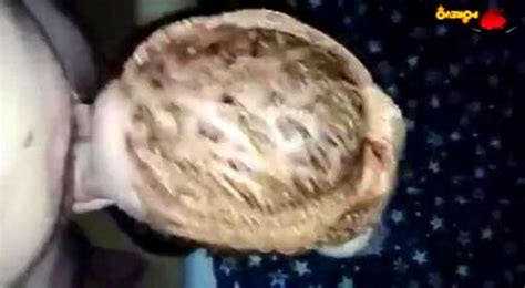 Watch Assa Ass Worship Anal Amateur Porn SpankBang