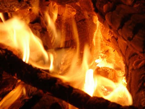 images outdoor wood warm summer orange red flame fire