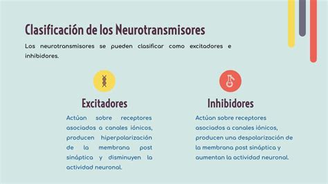 Tomidigital Los Neurotransmisores