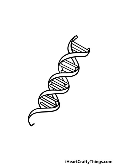 Dna Easy Pictures To Draw Of Dna Hall Kintalind