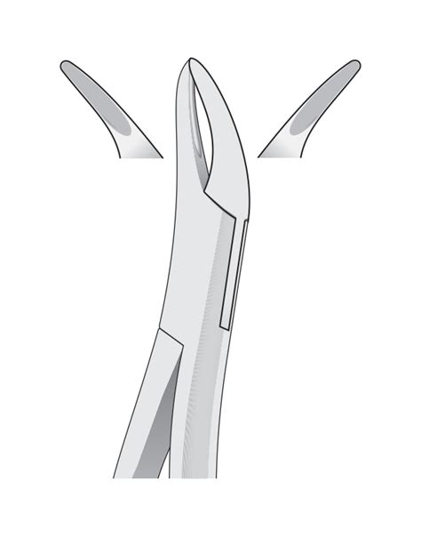 Dental Tooth Extracting Forceps Fig 69 Tomes Upper Lower Fragments