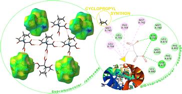 Supramolecular Synthon Hierarchy In Cyclopropyl Containing Peptide