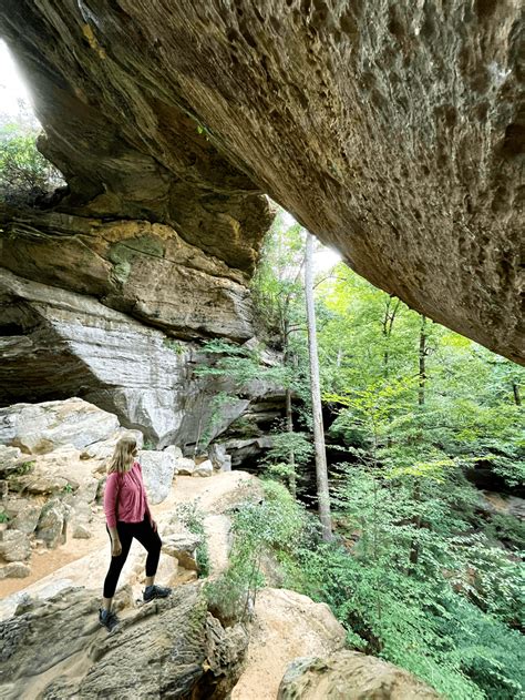 The Best Things To Do In Red River Gorge Ky Hiking Food And More Artofit