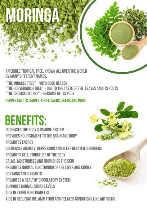 Benefits Of Moringa Artofit