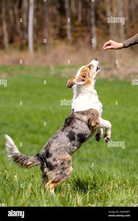 Sit beg and up hi-res stock photography and images - Alamy