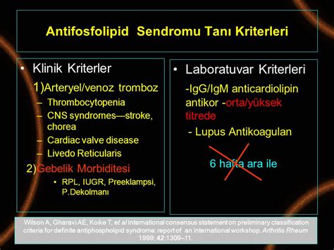 Trombof L Ve Yt Prof Dr Mehmet Zeki Taner Ppt Indir