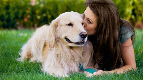 Vínculo Entre Perro Y Dueño Similar Al De Madre E Hijo