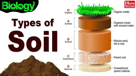 Types Of Soil Difference Between Sandy Clayey And Loamy Soils Part 2