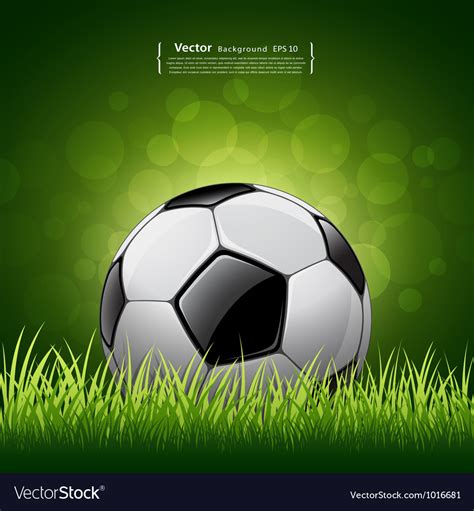 Soccer ball on grass background Royalty Free Vector Image