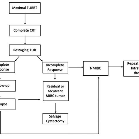 -Trimodal therapy treatment algorithm used at our institution ...