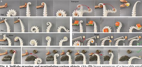 Figure From Bioinspired Soft Spiral Robots For Versatile Grasping And