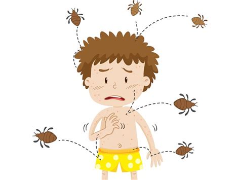 Pubic Lice Treatment How To Get Rid Of It Effectively Tv Health