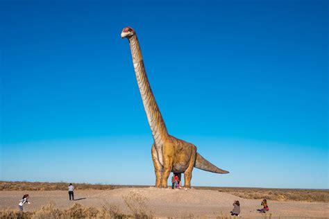 O maior dinossauro carnívoro NÃO era o tiranossauro