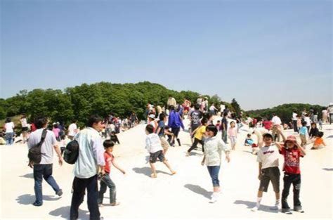 国営武蔵丘陵森林公園 詳細 周辺情報 Navitime Travel