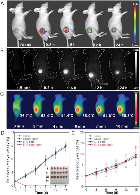 A Niri Fl Images And B Nirii Fl Images Of T Tumorbearing Mice At