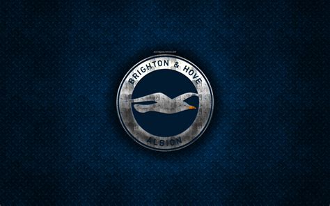 Download wallpapers Brighton Hove Albion FC, English football club ...