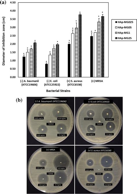 A Graph Of Average Inhibition Zone Diameters Cm Expressed As