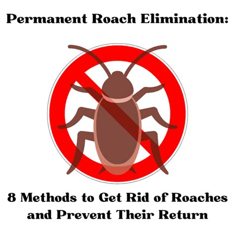 Permanent Roach Elimination 8 Methods To Get Rid Of Roaches And