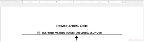 15 Cara Membuat Garis Lurus Di Word Dengan Cepat