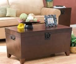 Extra Large Storage Trunk Ideas On Foter