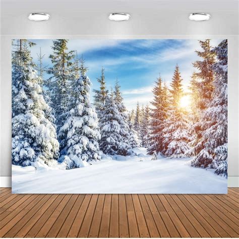 Dhxxsc 7x5ft Christmas Backdrops For Photography Winter Snow Backdrop