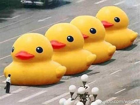 Giant Rubber Duck Meme