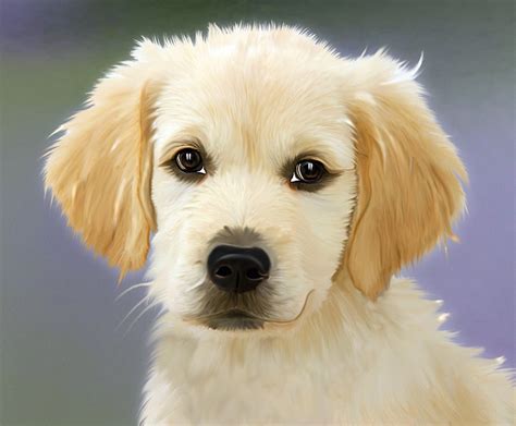 A Puppies Love Hubpages