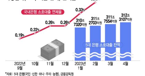 1020조 자영업자 대출10명 중 7명 3곳 이상에 빚