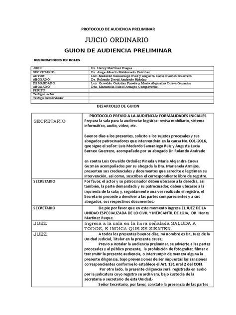 Ejemplo De Audiencia Preliminar Ordinario Testimonio Demanda Judicial