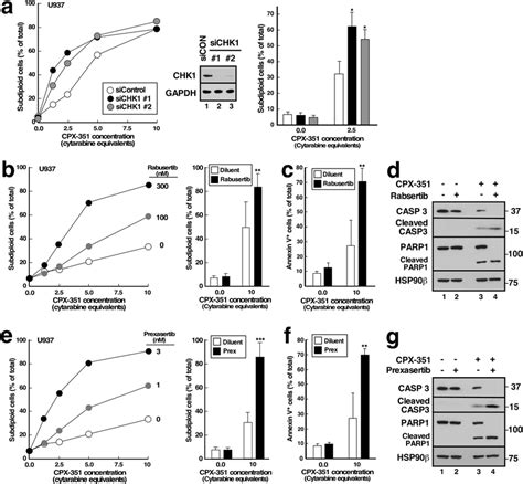 Chk1 Sirna And Additional Chk1 Inhibitors Enhance Cpx 351 Induced