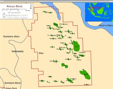 SKK Migas Dan PHR Persiapkan Seismik 3 Dimensi Untuk 2 Lapangan Di Blok