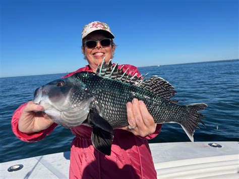 Black Sea Bass Fishing Charters - Photo Gallery