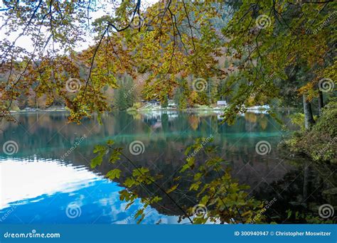 Laghi Di Fusine Group Of Ducks Swimming With Scenic View Of Superior