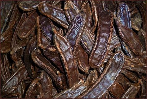 Locust Bean Gum (LBG, carob gum) | Molecular Recipes