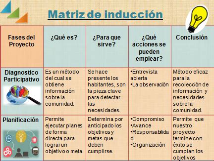 Desarrollo De Proyecto En La Terapia Ocupacional Matriz De Induccion