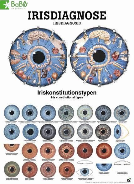 How To Iris Reading Chart Iriscope Iridology Camera Iriscope