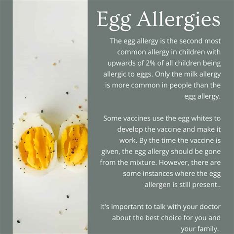 Egg Allergy: What to Eat and What to Avoid - Living Beyond Allergies