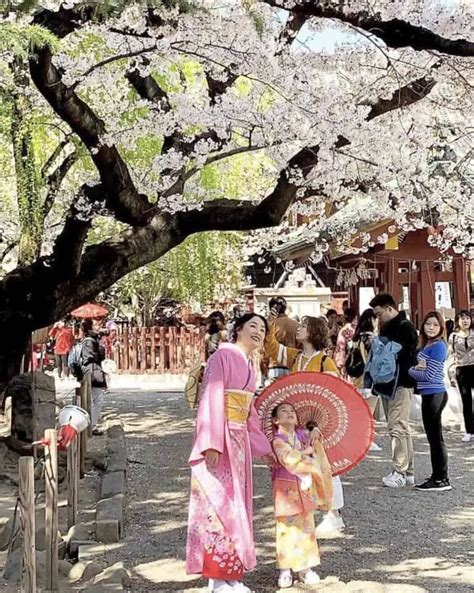 Japanese Culture for Kids