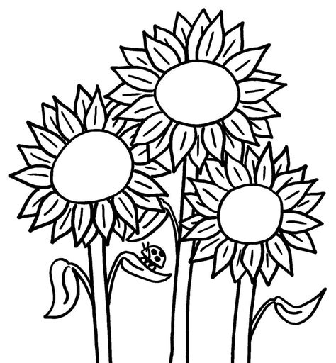 Sunflower Drawing Tutorial At Getdrawings Free Download
