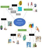 Mapa Mental Actividad 1 Mercadotecnia Docx CRITERIO ESPECIFICO