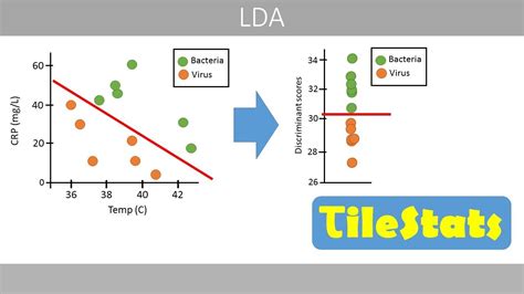 Linear Discriminant Analysis LDA Simply Explained YouTube