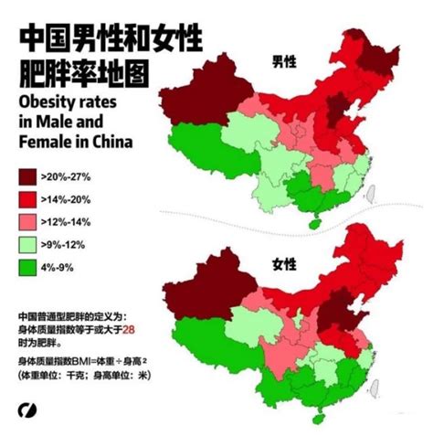 2023中国肥胖地图发布：超重人群占比348，肥胖人群占比141 哔哩哔哩